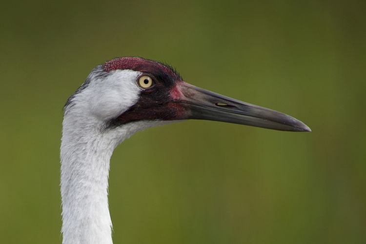 Baraboo, WI Homes for Sale & Real Estate