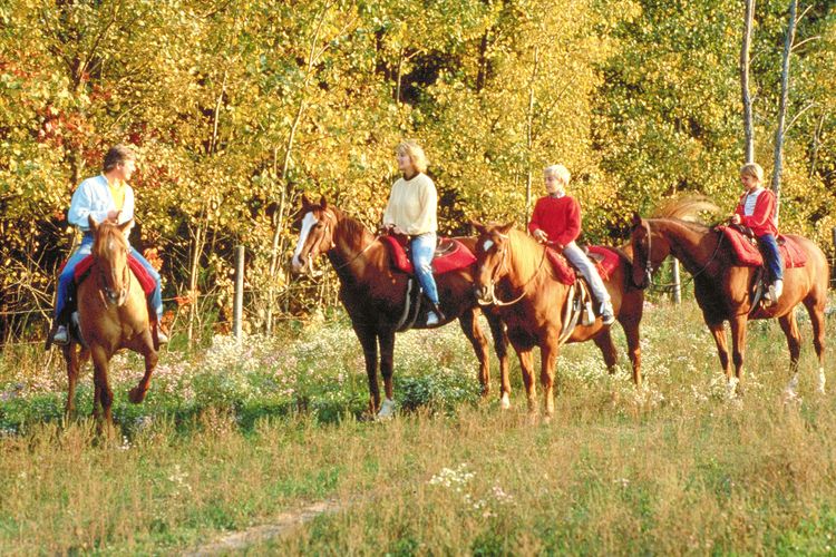 Oregon, WI Real Estate and Homes for Sale